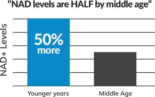 Graph: NAD Levels