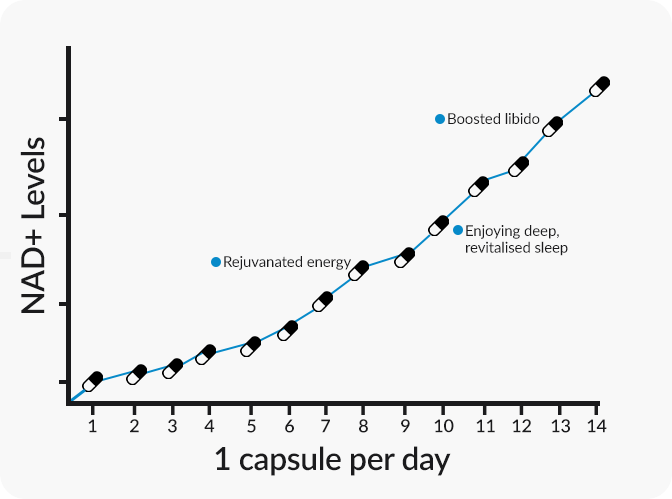 Graph NAD+ Levels